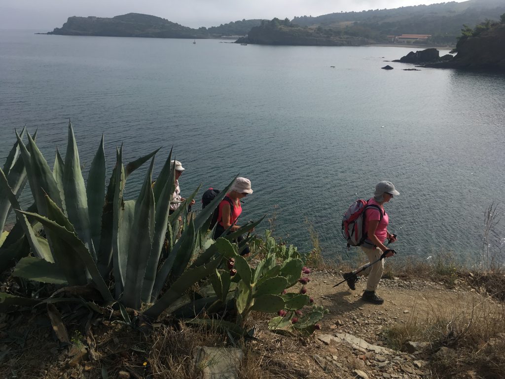 ©ADT sentier du littoral