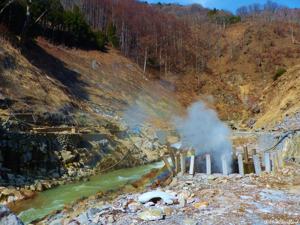 Province de Nagano, Snow Monkey Park