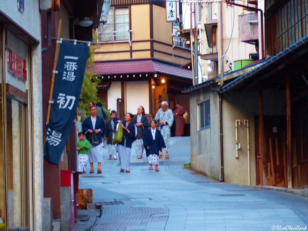 Province de Nagano, Village de Yudanaka