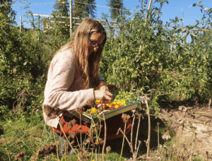 adquat traiteur - meilleur traiteur à pau